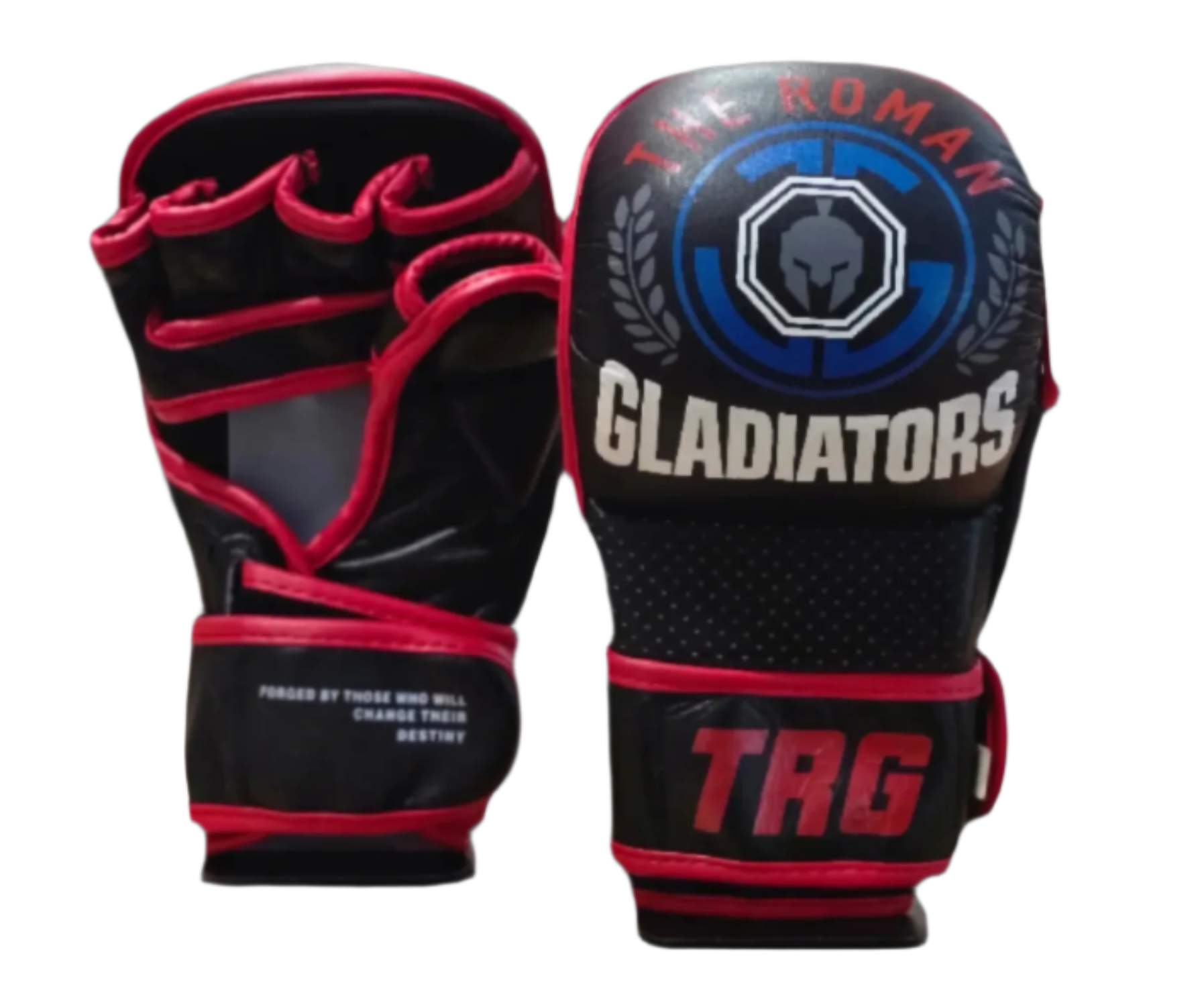 Pro MMA Gloves