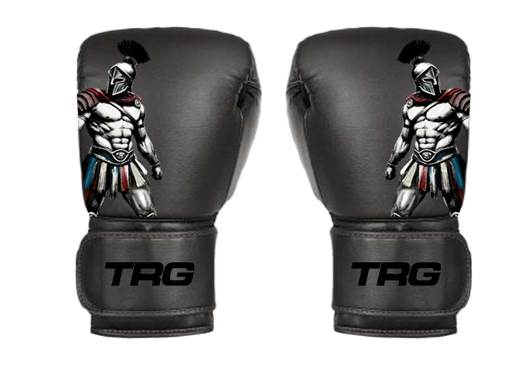 Pro Boxing Gloves 16oz