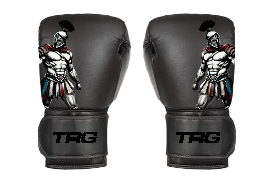 Pro Boxing Gloves 16oz