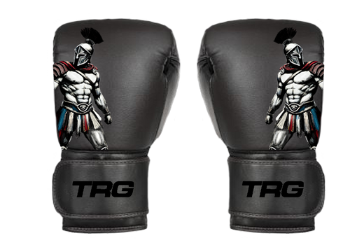 Pro Boxing Gloves 16oz
