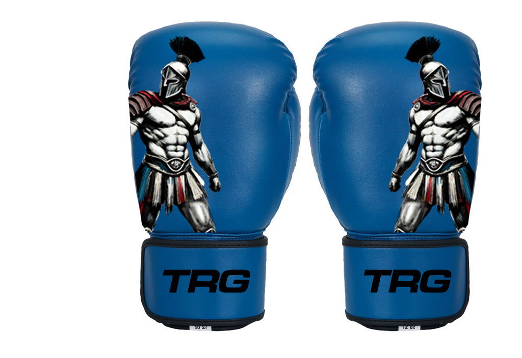Pro Boxing Gloves 16oz