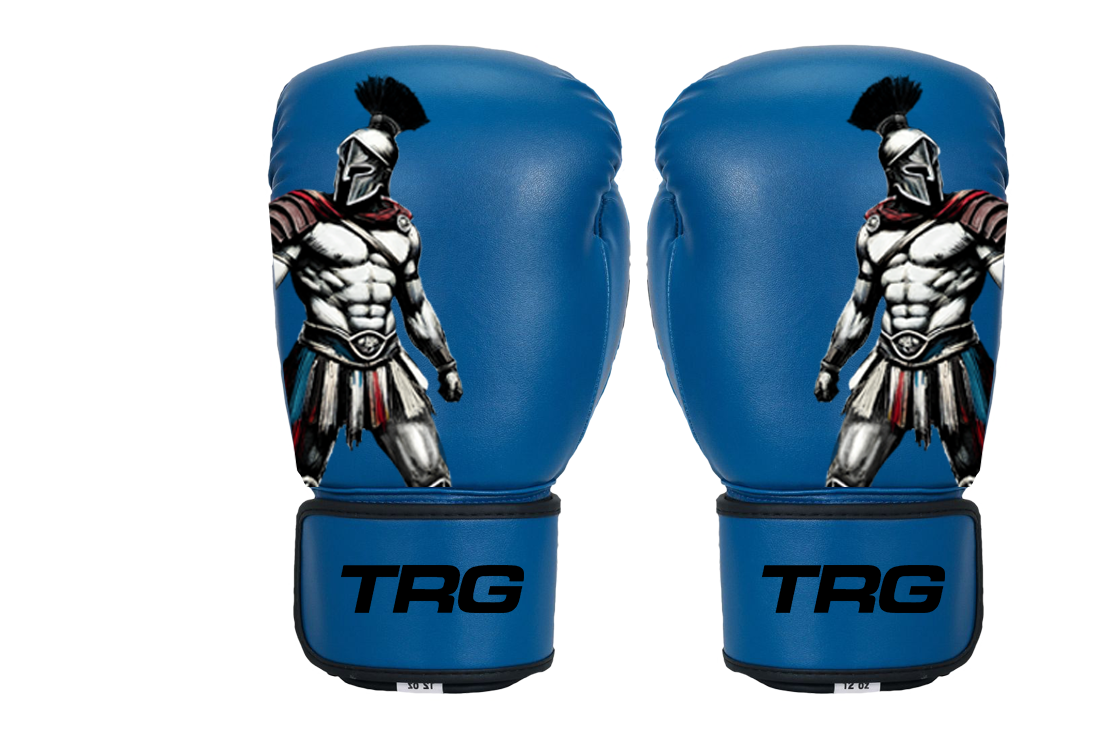Pro Boxing Gloves 16oz