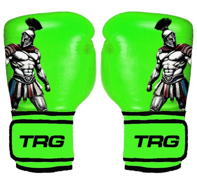 Pro Boxing Gloves 16oz