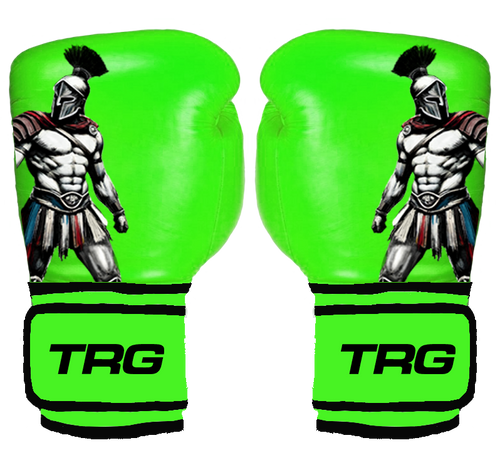 Pro Boxing Gloves 16oz