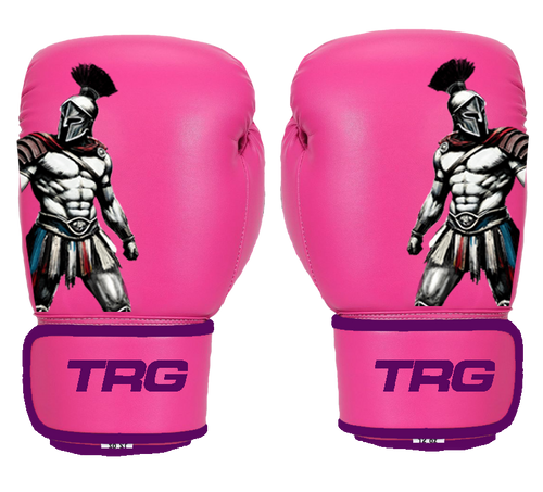 Pro Boxing Gloves 16oz