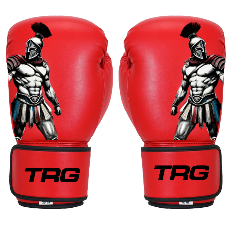 Pro Boxing Gloves 16oz