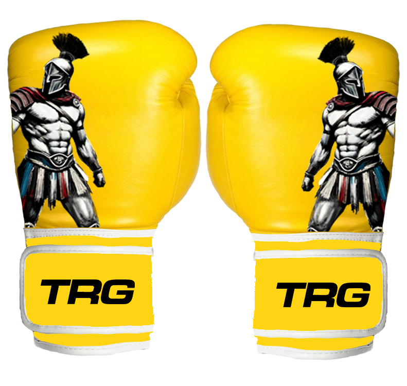 Pro Boxing Gloves 16oz