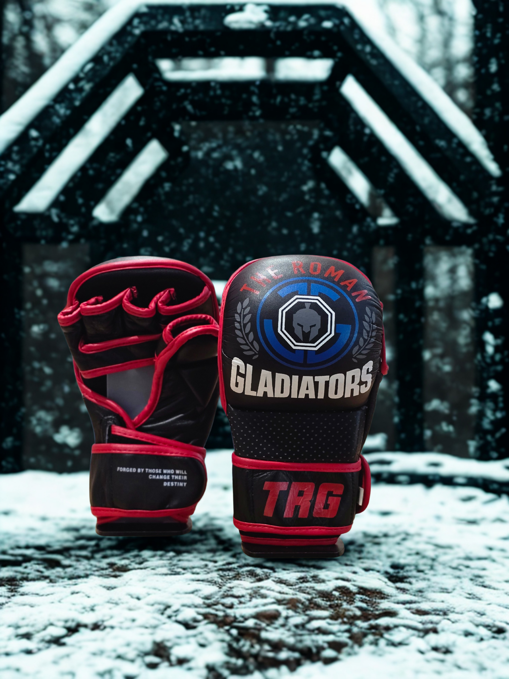Pro MMA Gloves