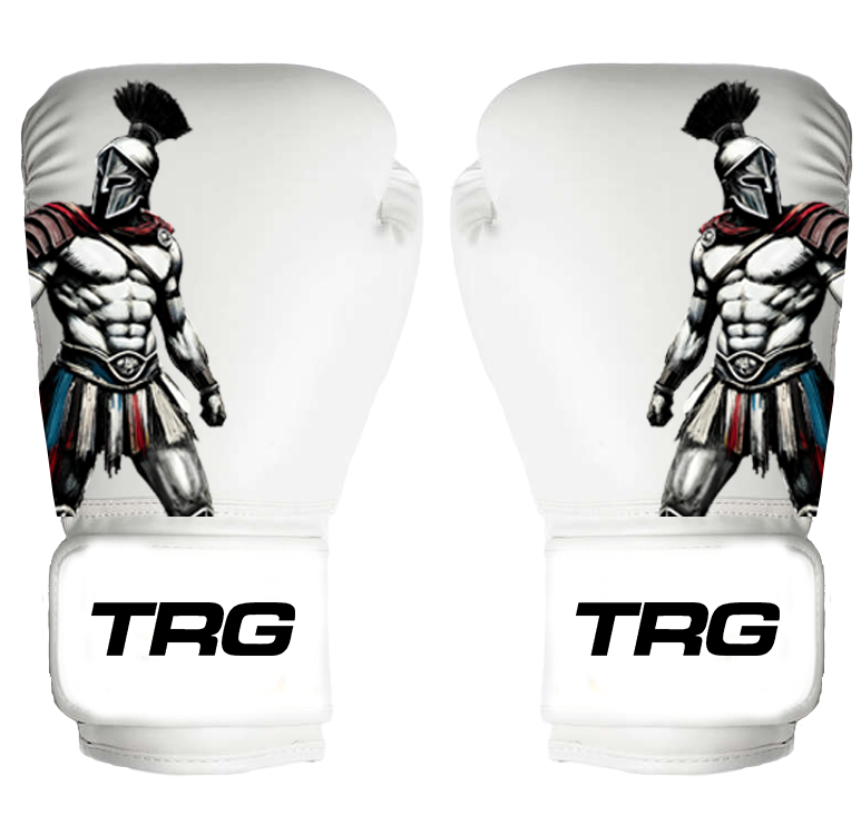 Pro Boxing Gloves 16oz